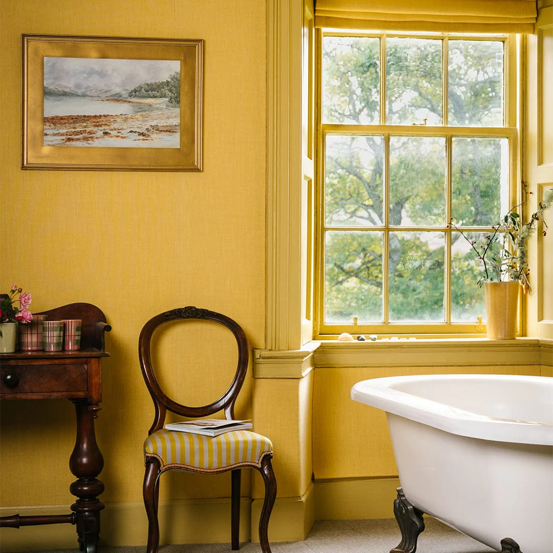 Harvest Yellow - Image 5