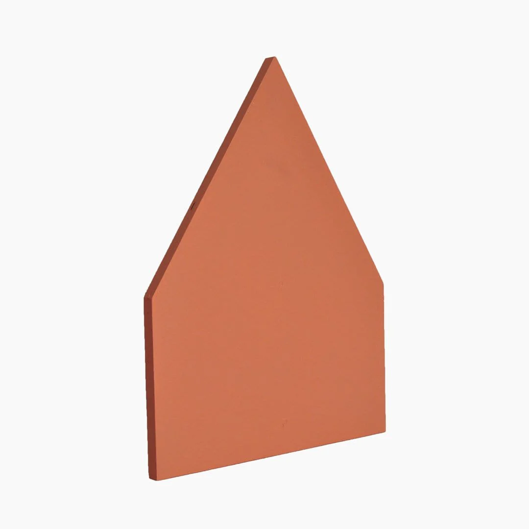 Paint Sample in ANTA Orange